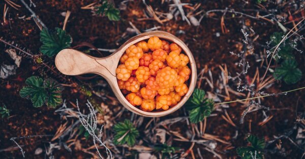 Prírodné antioxidanty: súkromná ochranka nášho tela pred záškodníkmi